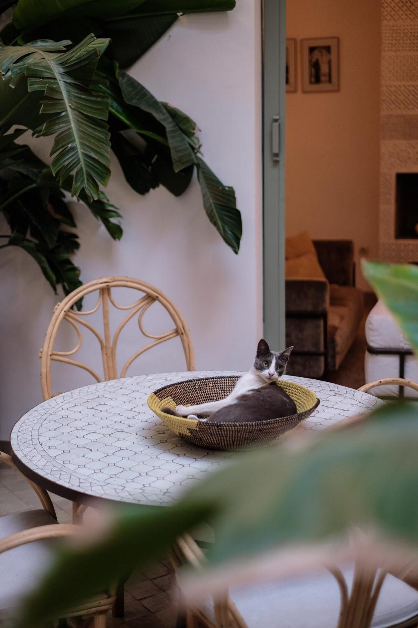 Riad Danka Marrakesh Eksteriør billede